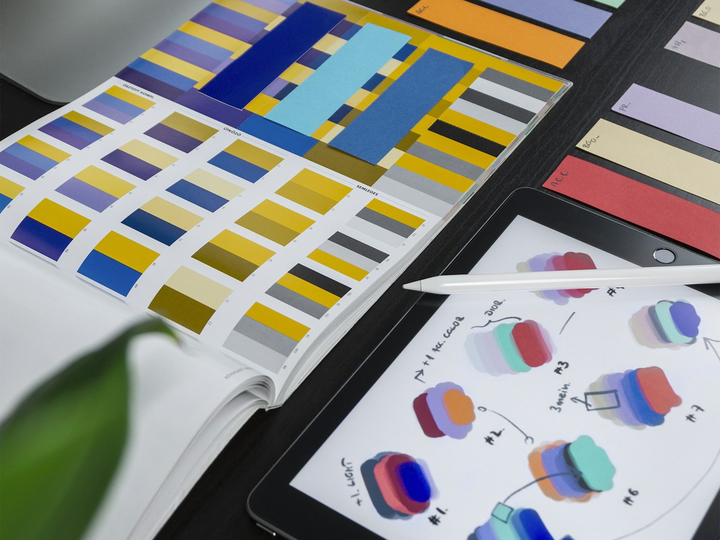 Création d'identité visuelle et palettes de couleurs